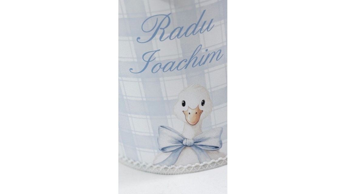 Trusou de botez cu rățuște Silly Goose 12